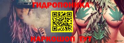 мет Новодвинск